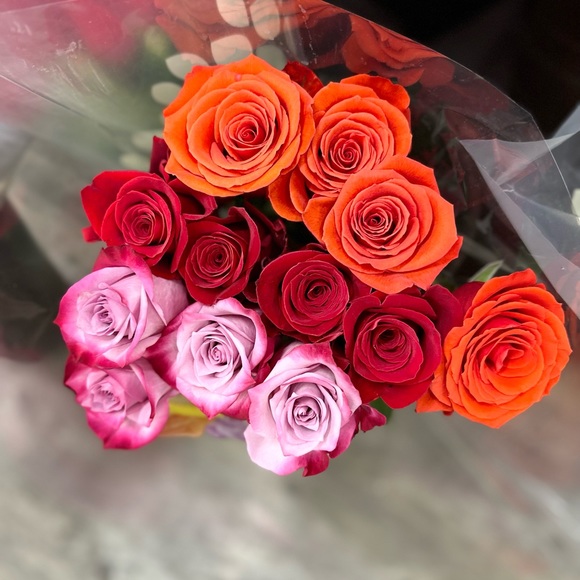 Meet your Posher, Alexandria - Picture 3 of 5